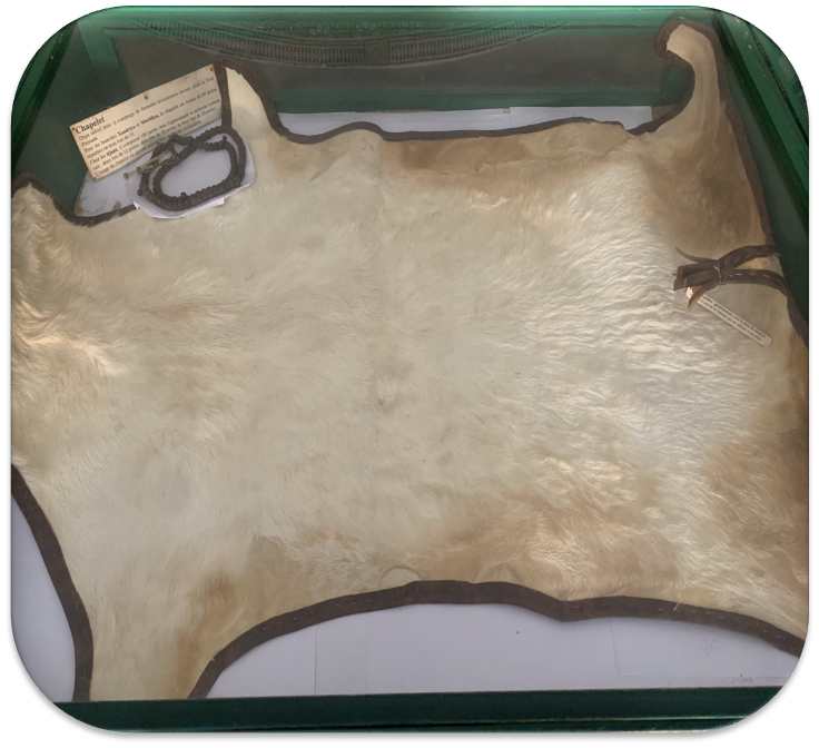 Peau de mouton utilisée comme une natte de prière