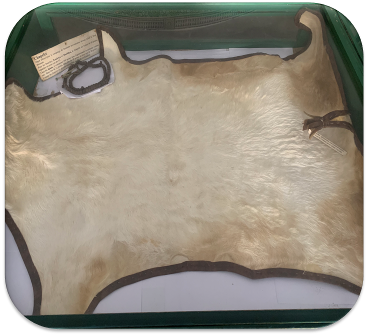 Peau de mouton utilisée comme une natte de prière