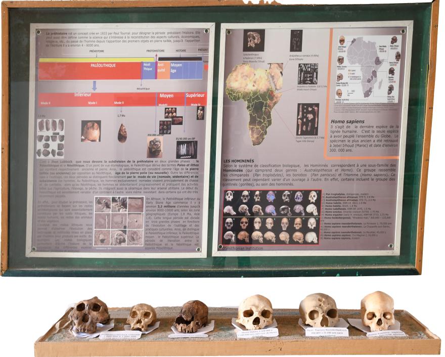 Préhistoire : cartes et cranes