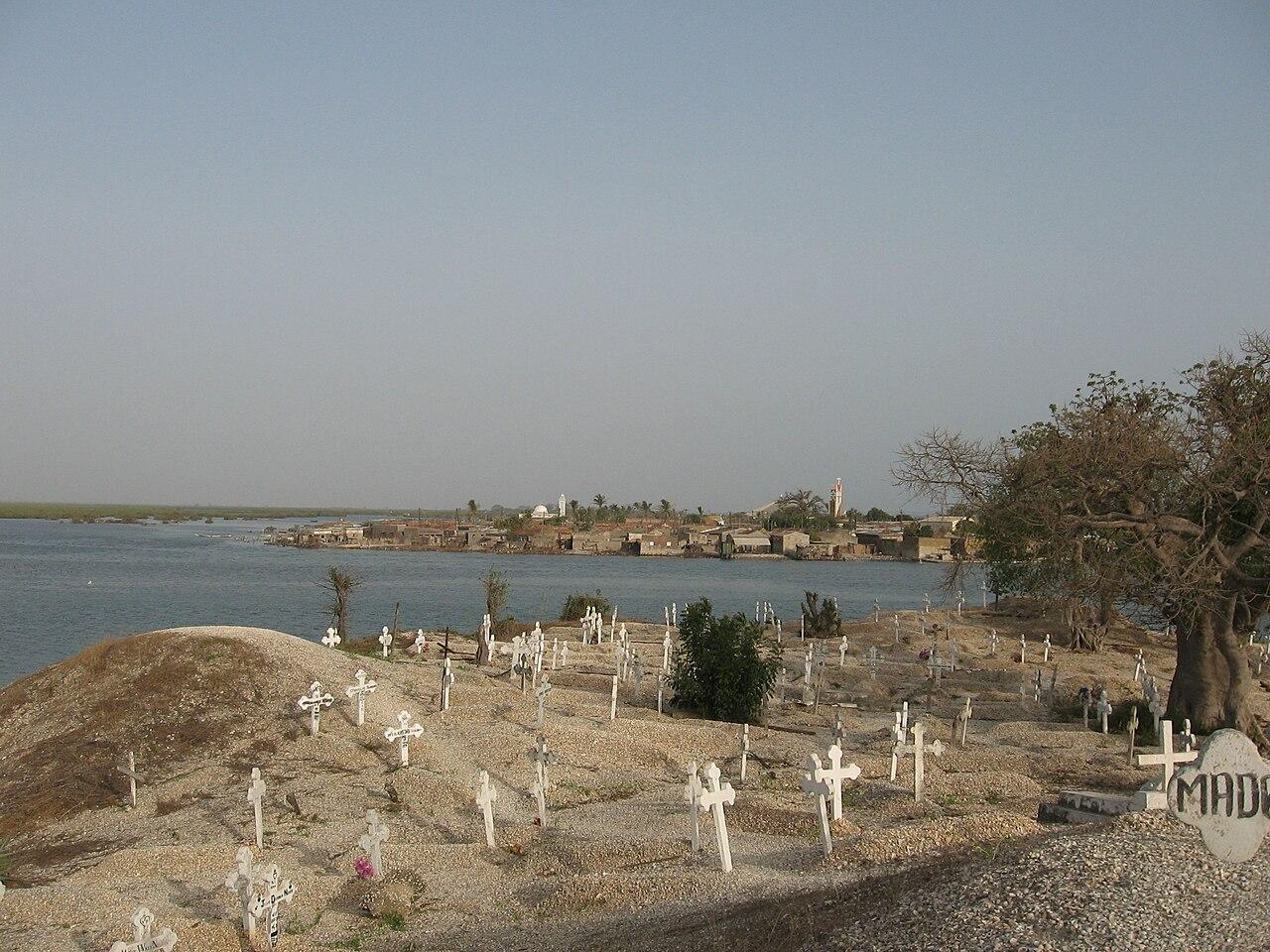 Amas coquilliers senegal